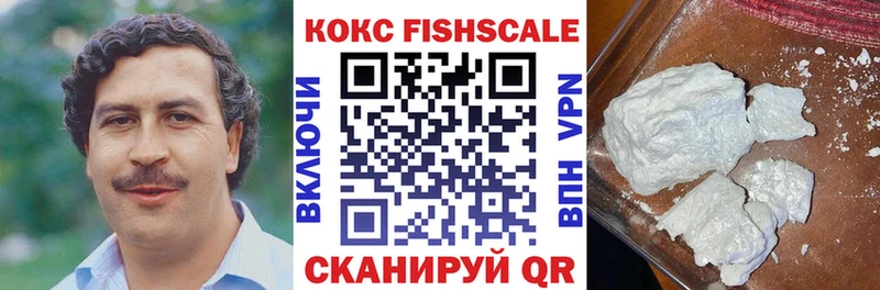 Купить закладки  Шумерля  COCAIN Fish Scale 