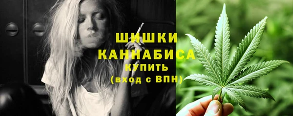 первитин Каменка