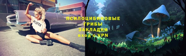 а пвп мука Каменногорск