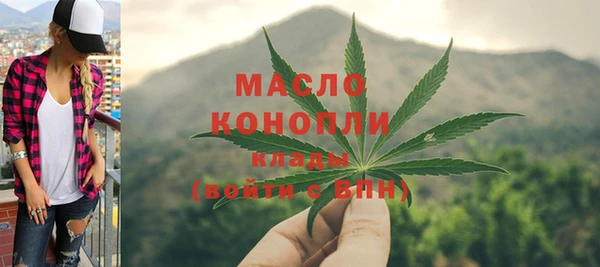 первитин Каменка