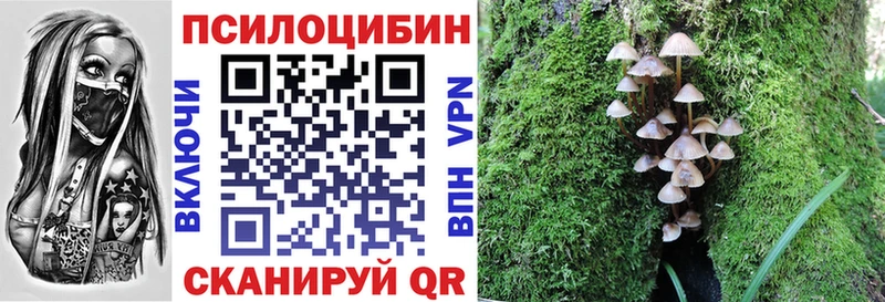 Купить  Шумерля  Псилоцибиновые грибы Magic Shrooms 